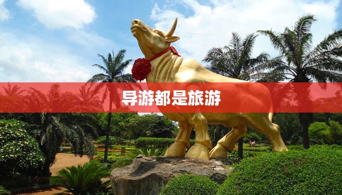 导游都是旅游