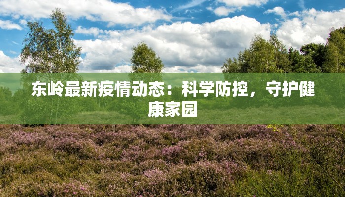 东岭最新疫情动态：科学防控，守护健康家园