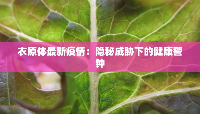 连江最新防疫情况通报