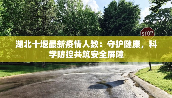 湖北十堰最新疫情人数：守护健康，科学防控共筑安全屏障