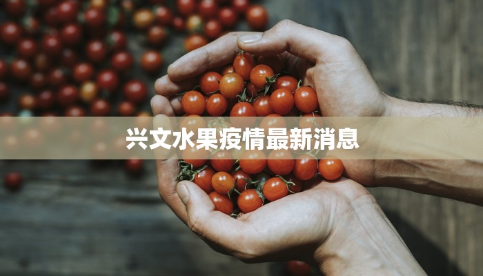 兴文水果疫情最新消息