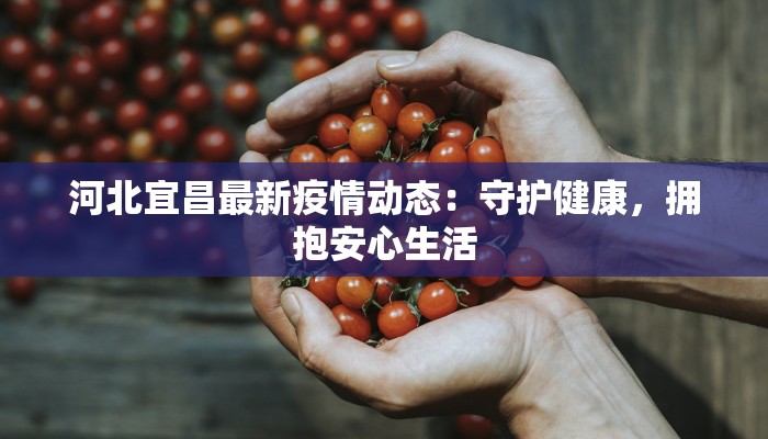 河北宜昌最新疫情动态：守护健康，拥抱安心生活