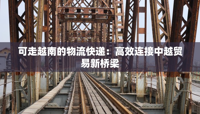 可走越南的物流快递：高效连接中越贸易新桥梁