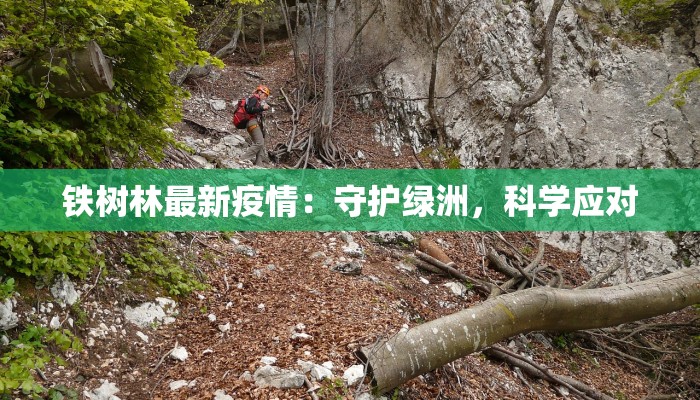 铁树林最新疫情：守护绿洲，科学应对