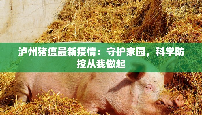 泸州猪瘟最新疫情：守护家园，科学防控从我做起