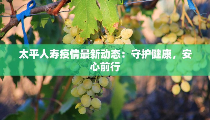 太平人寿疫情最新动态:守护健康,安心前行 太平人寿疫情最新动态:守护健康,安心前行