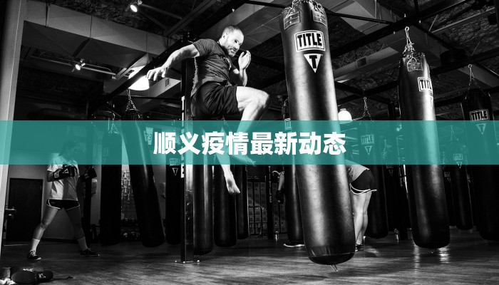 顺义疫情最新动态