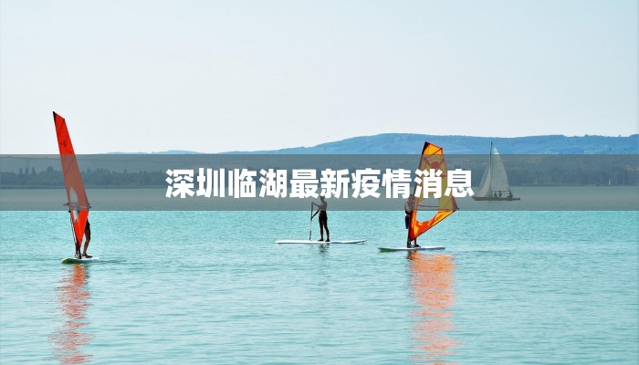 深圳临湖最新疫情消息