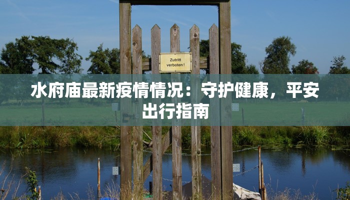 水府庙最新疫情情况：守护健康，平安出行指南