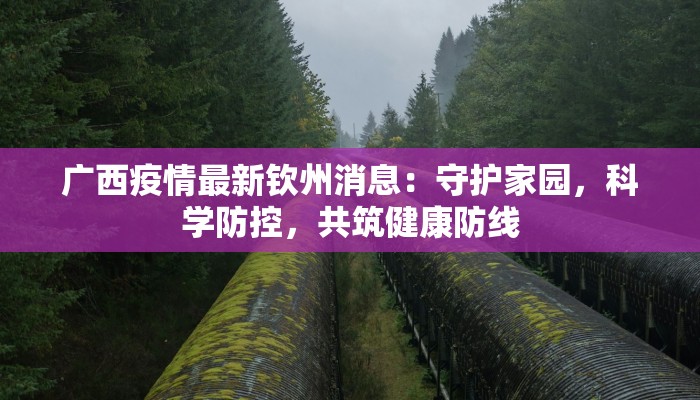 广西疫情最新钦州消息：守护家园，科学防控，共筑健康防线