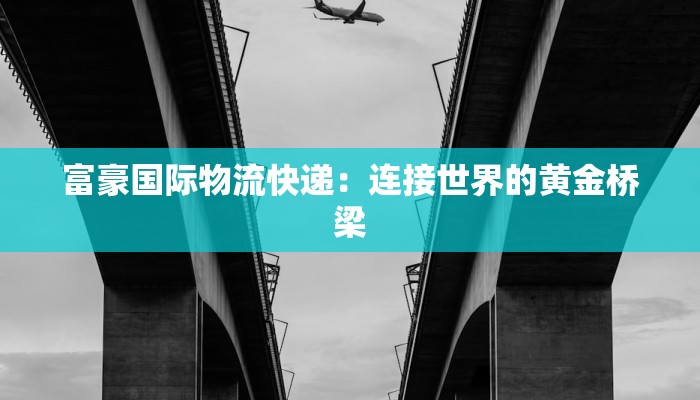 富豪国际物流快递：连接世界的黄金桥梁