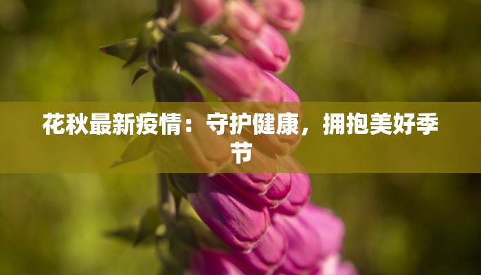 广东疫情最新管理:科学防控,守护健康生活 广东疫情最新管理:科学防控,守护健康生活