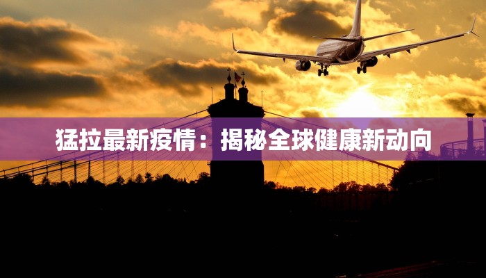 猛拉最新疫情：揭秘全球健康新动向
