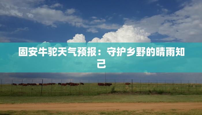 固安牛驼天气预报：守护乡野的晴雨知己