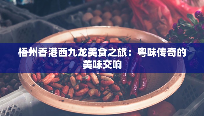 梧州香港西九龙美食之旅：粤味传奇的美味交响