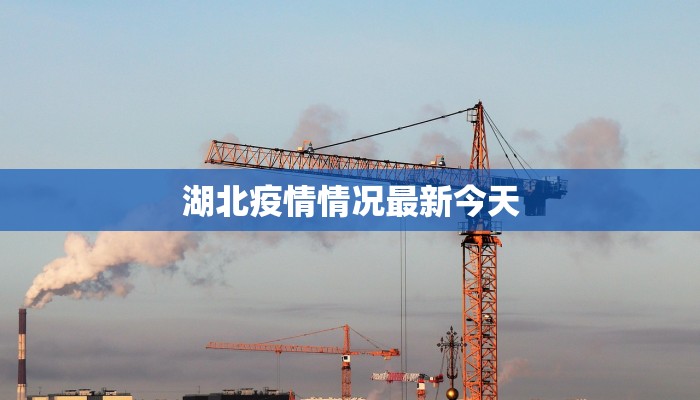 湖北疫情情况最新今天