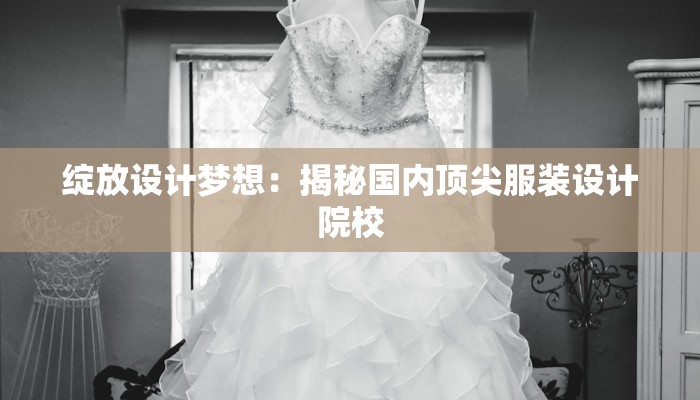 绽放设计梦想：揭秘国内顶尖服装设计院校