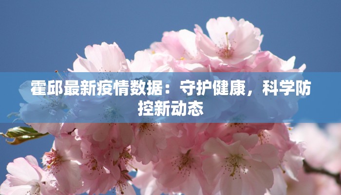 朱村最新疫情消息：守护健康，安心前行