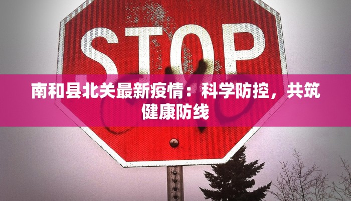 南和县北关最新疫情：科学防控，共筑健康防线