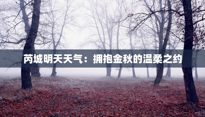 芮城明天天气：拥抱金秋的温柔之约